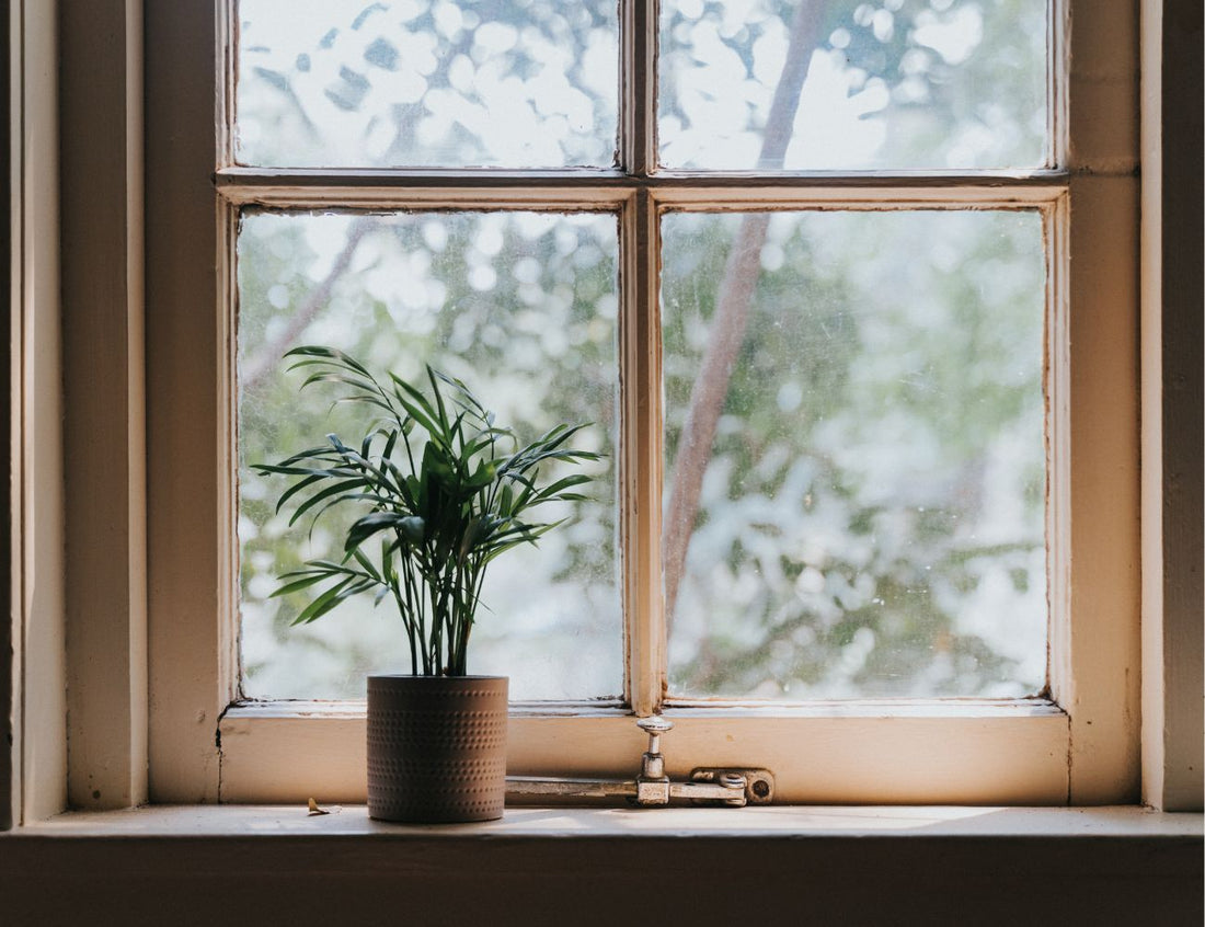 Plant tips for winter