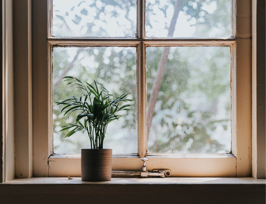 Plant tips for winter