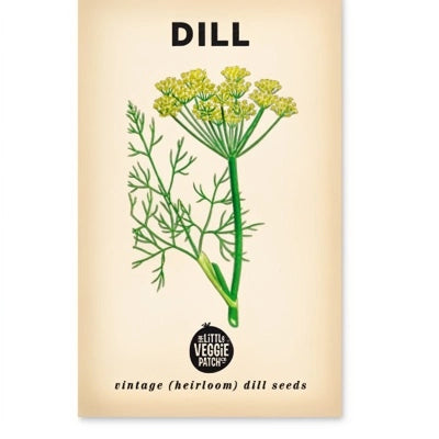 Dill 'common' Heirloom Seeds