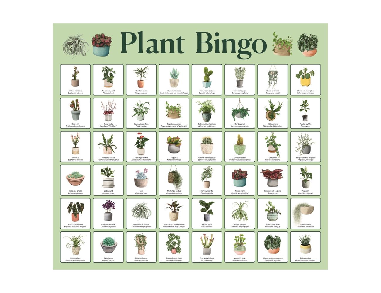 Plant Bingo
