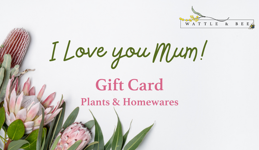 Wattle & Bee Gift Card