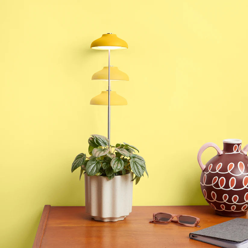 Instant Sun Grow Light