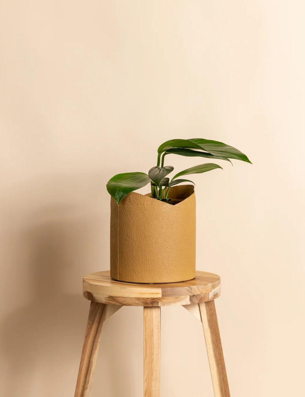Cacoon Recycled Paper Pot (165mm)