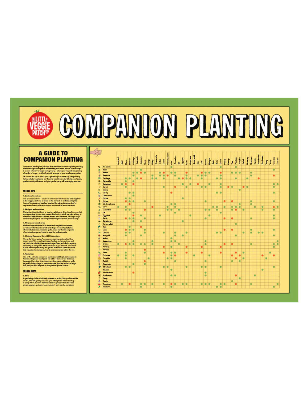 Companion Planting Chart