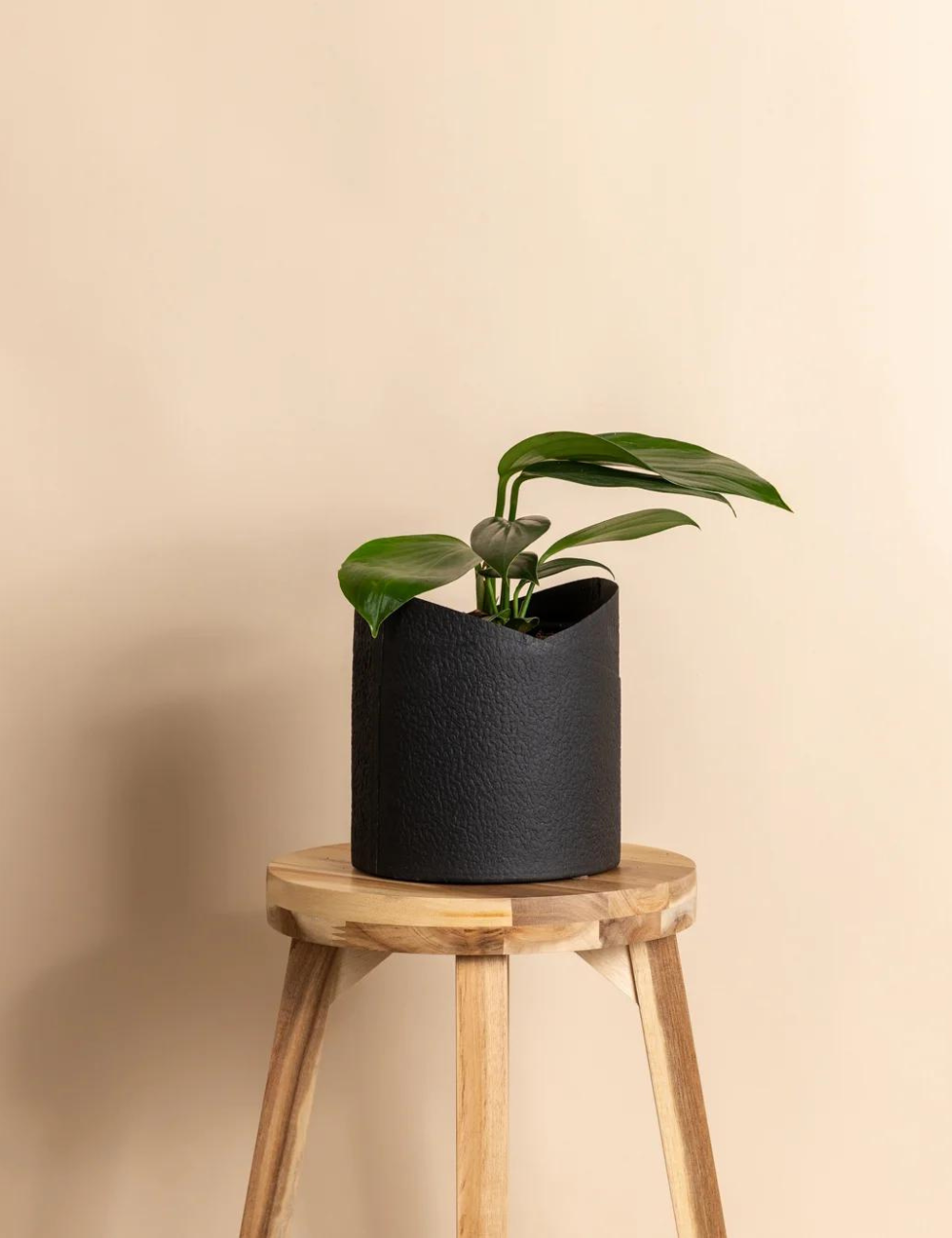 Cacoon Recycled Paper Pot (165mm)