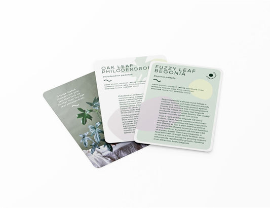 Leaf Supply - Deck of Plants