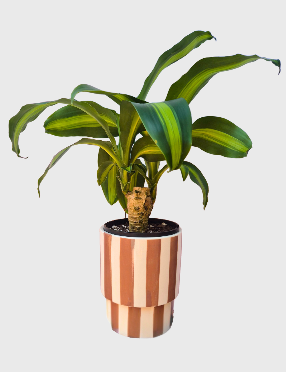 Stripey Ceramic Pot