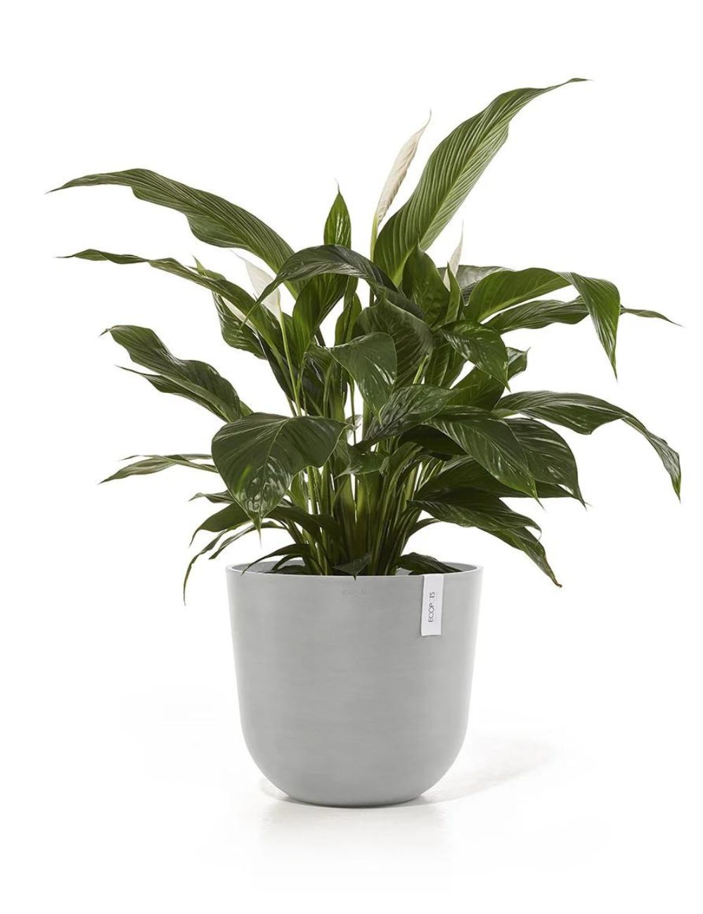 Ecopots 'Oslo' 45cm