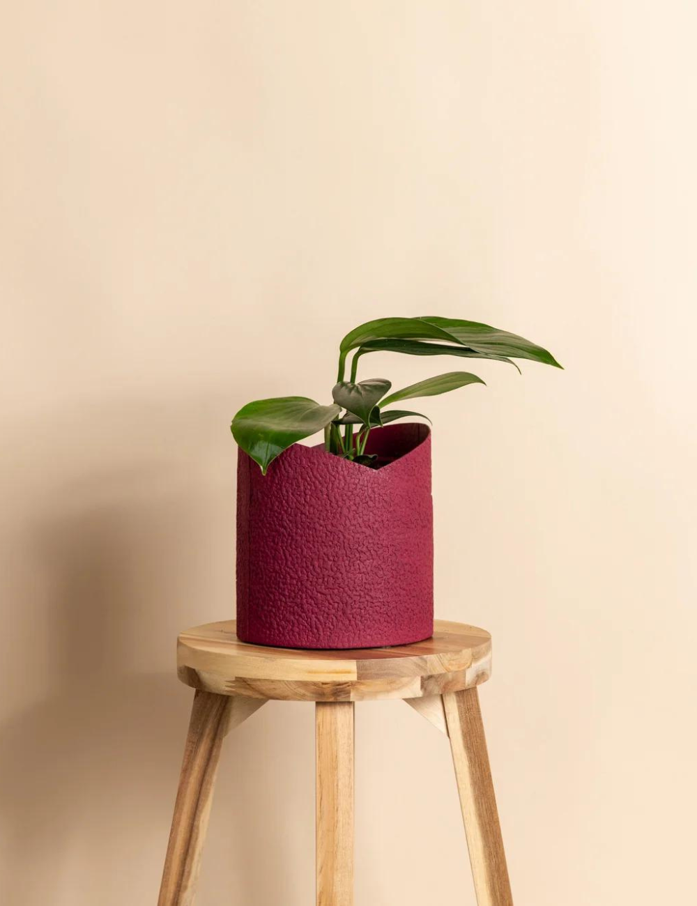 Cacoon Recycled Paper Pot (165mm)