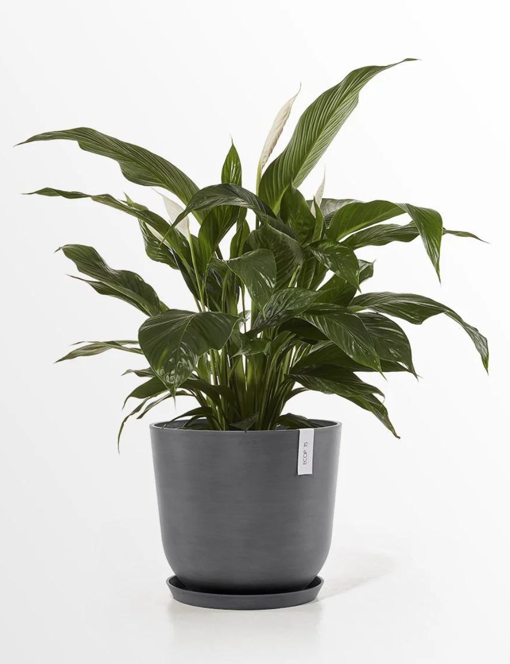 Ecopots 'Oslo' 45cm