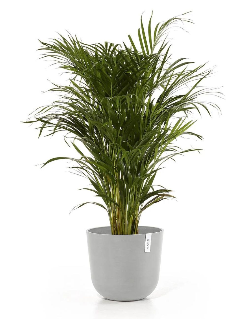 Ecopots 'Oslo' 35cm