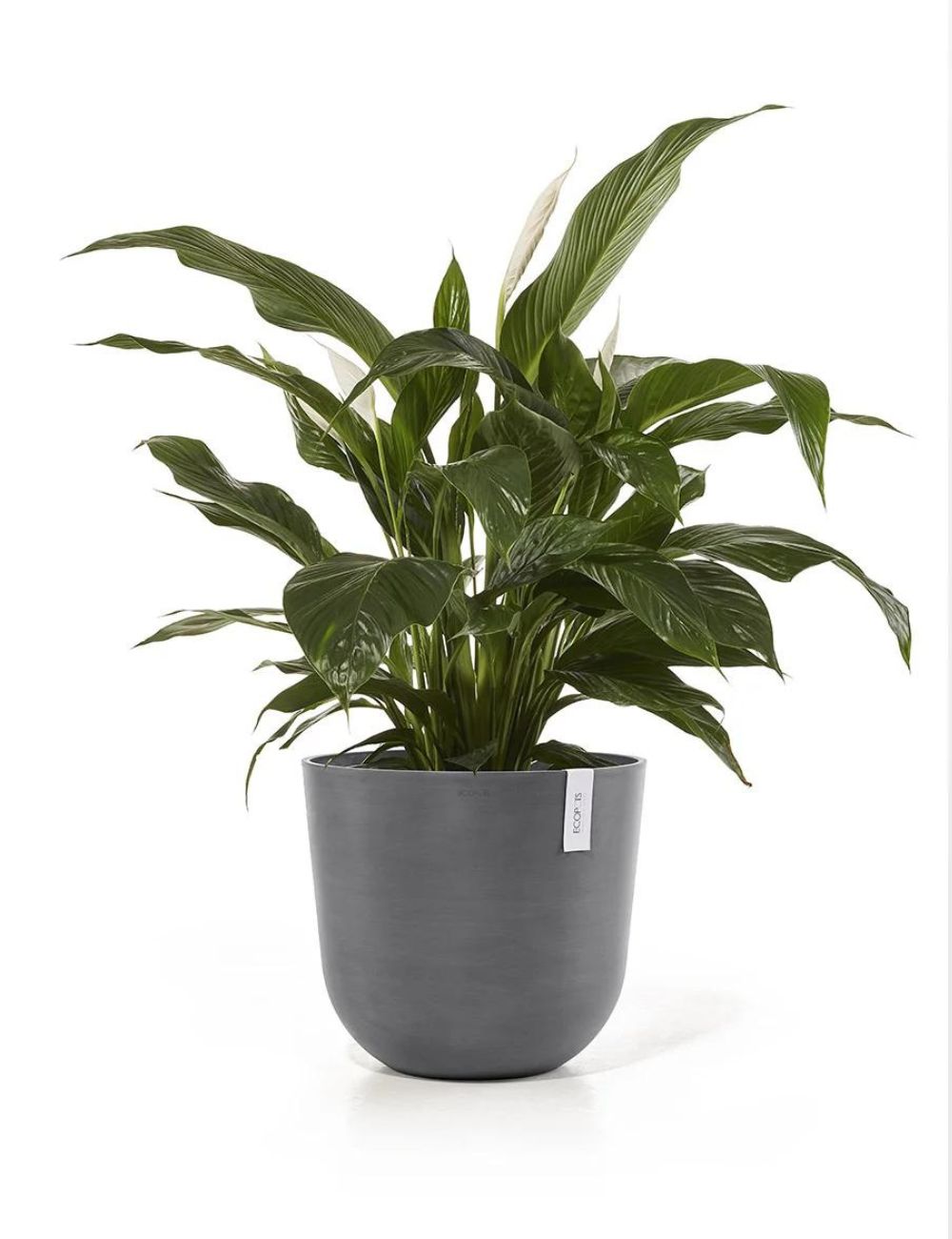 Ecopots 'Oslo' 45cm