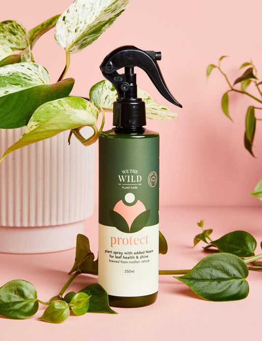 Protect - Spray With Neem