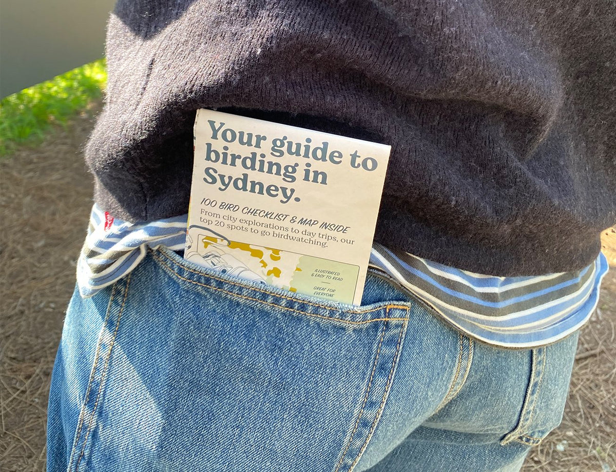 Birding in Sydney guide