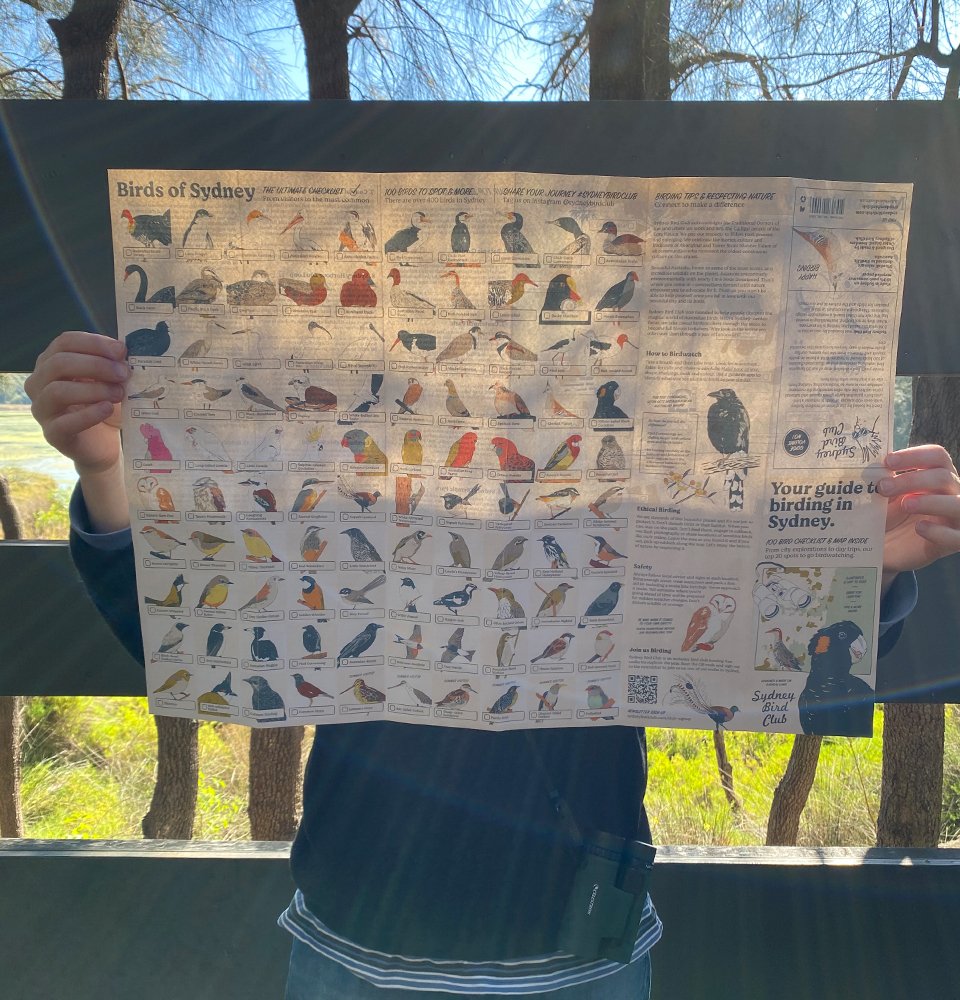 Birding in Sydney guide