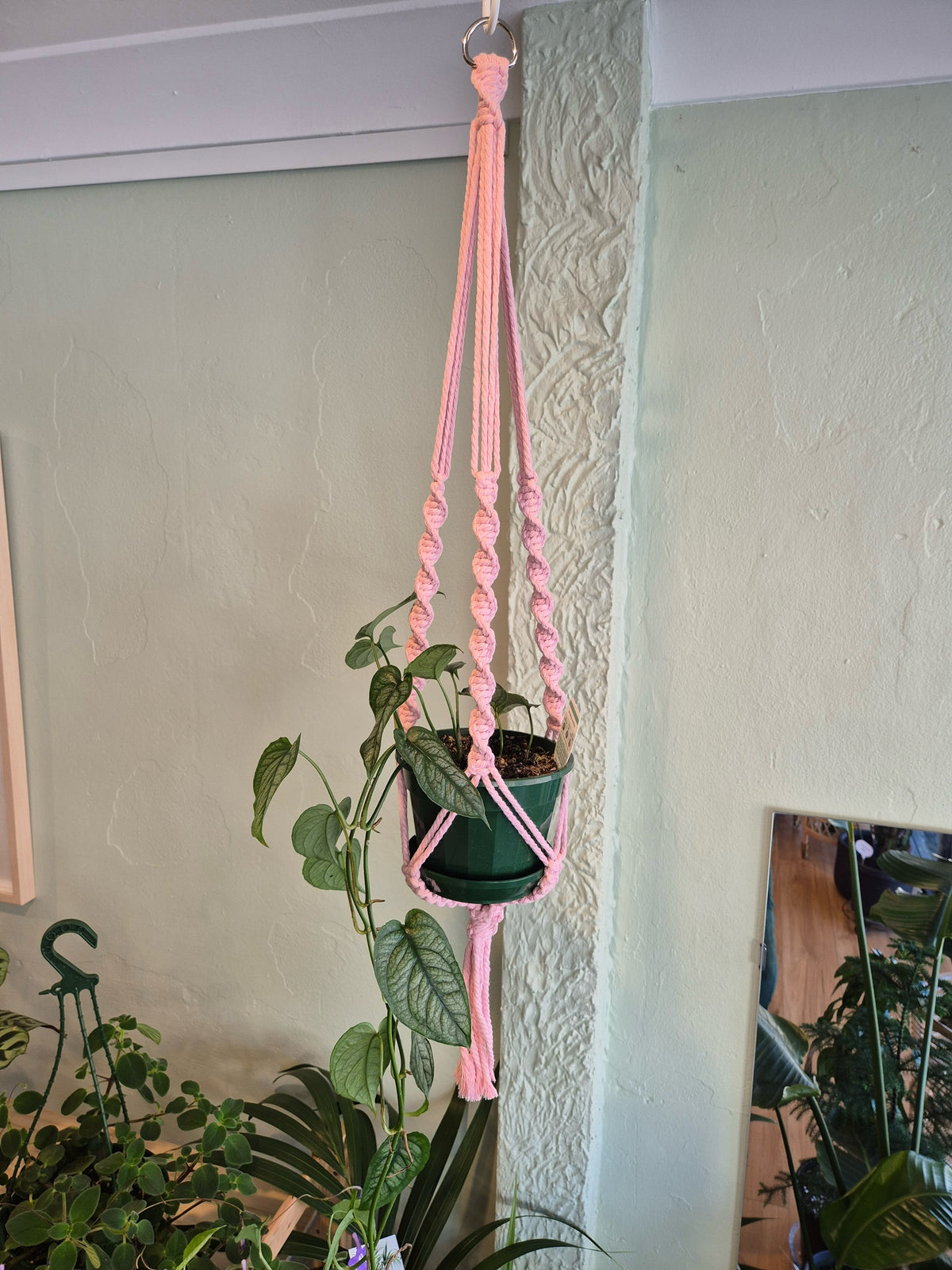 Macrame Plant Hanger - Elly