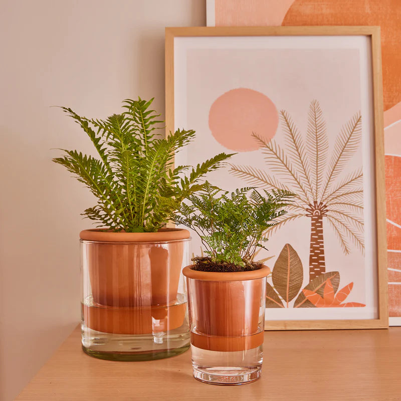 Koda Self-Watering Pot