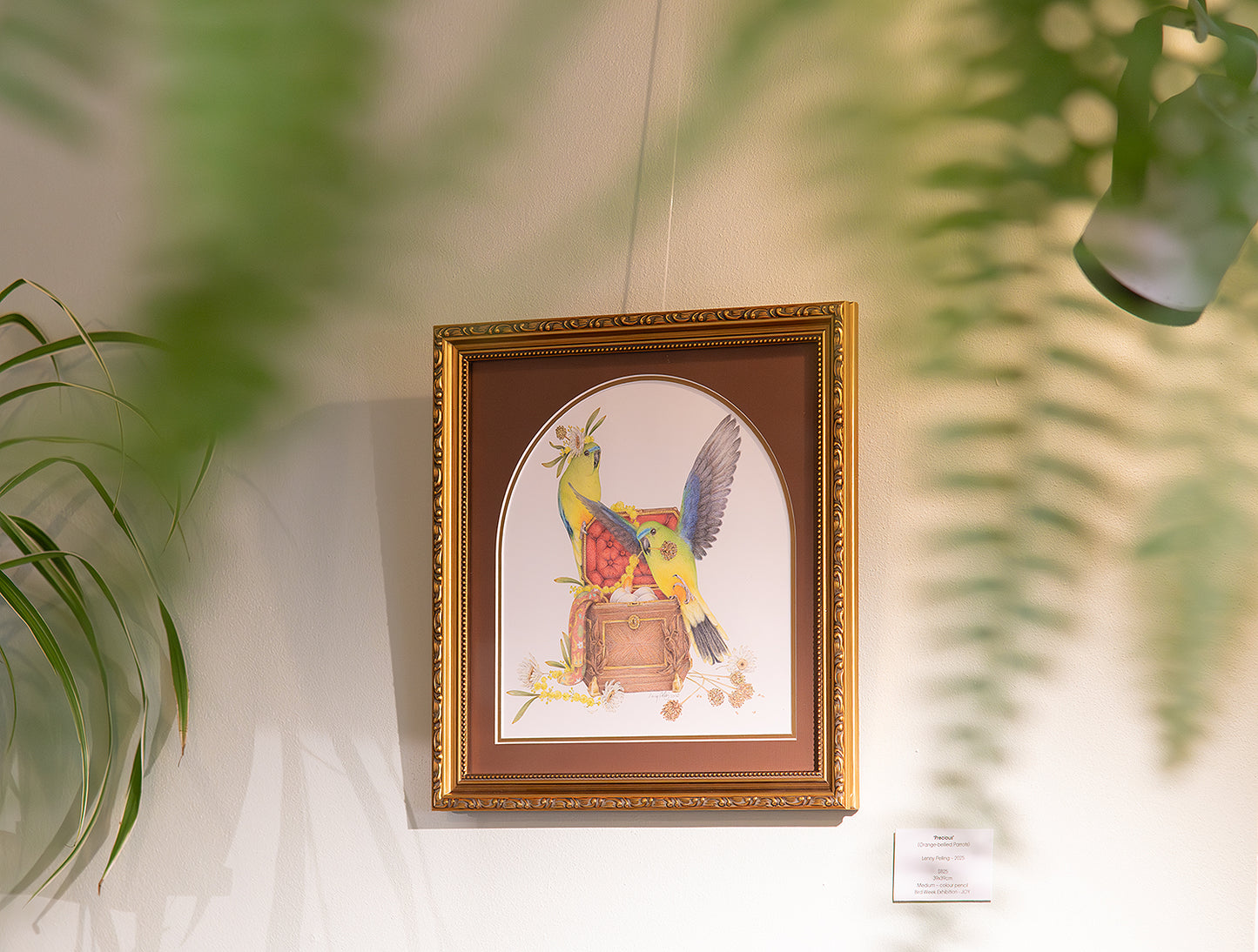 ‘Precious’ (Orange-bellied Parrots) Lenny Pelling