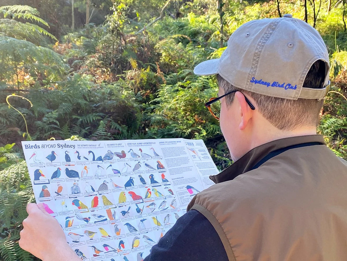 Birding Beyond Sydney Guide (Day Trips)