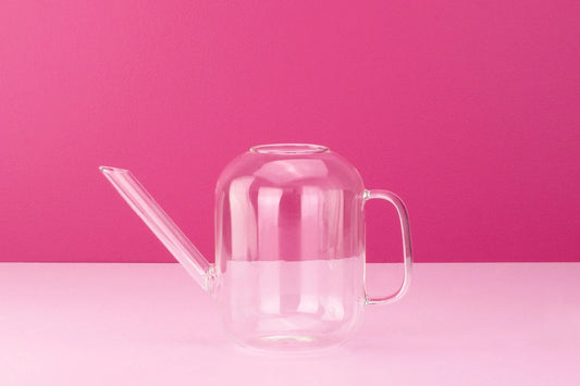 Glass Watering Can