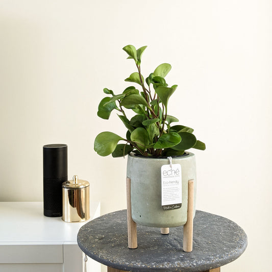 Hemp & Coconut Fibre Pot with Wooden Legs