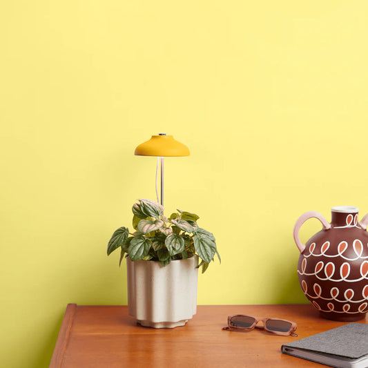 Instant Sun Grow Light