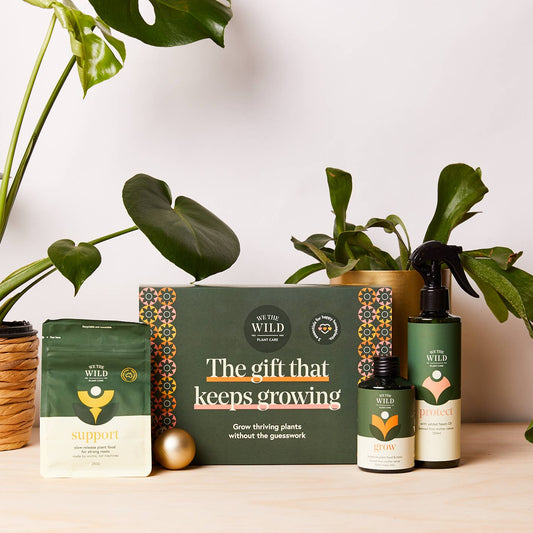 The Gift That Grows - Giftbox