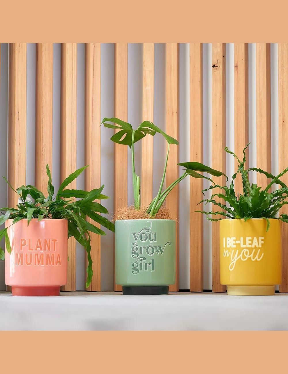 Ceramic Planters