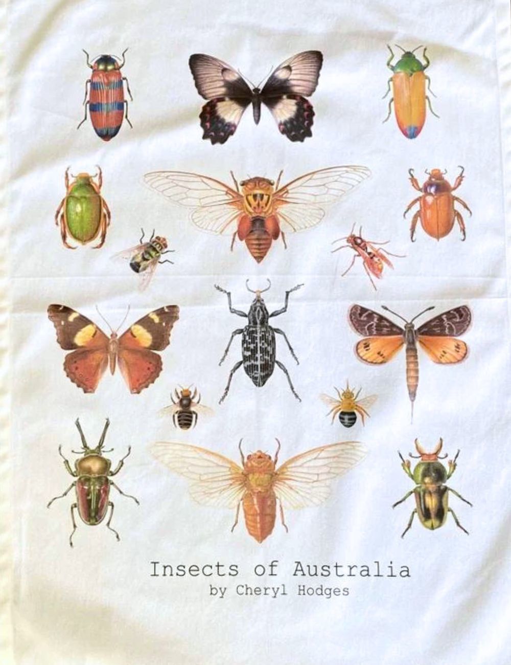 Tea Towel - Insects of Australia