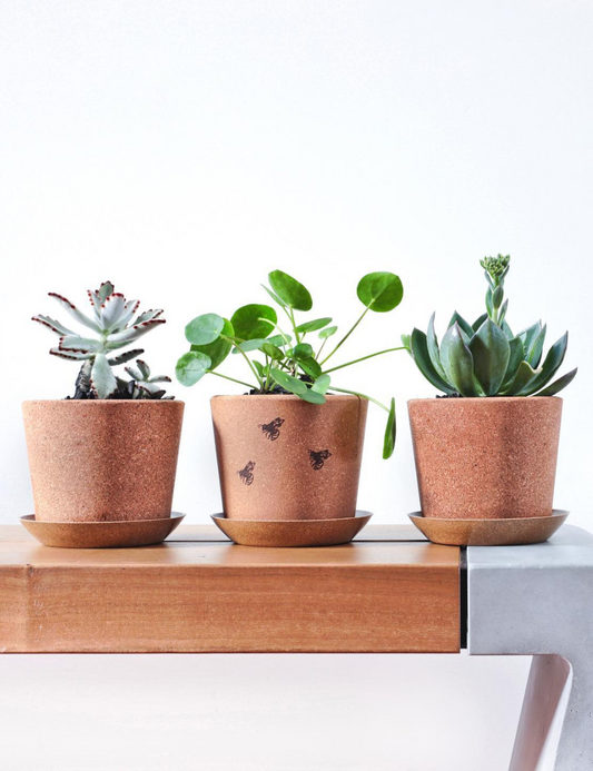 Cork Pot with Saucer (Fine Grain) - 14cm