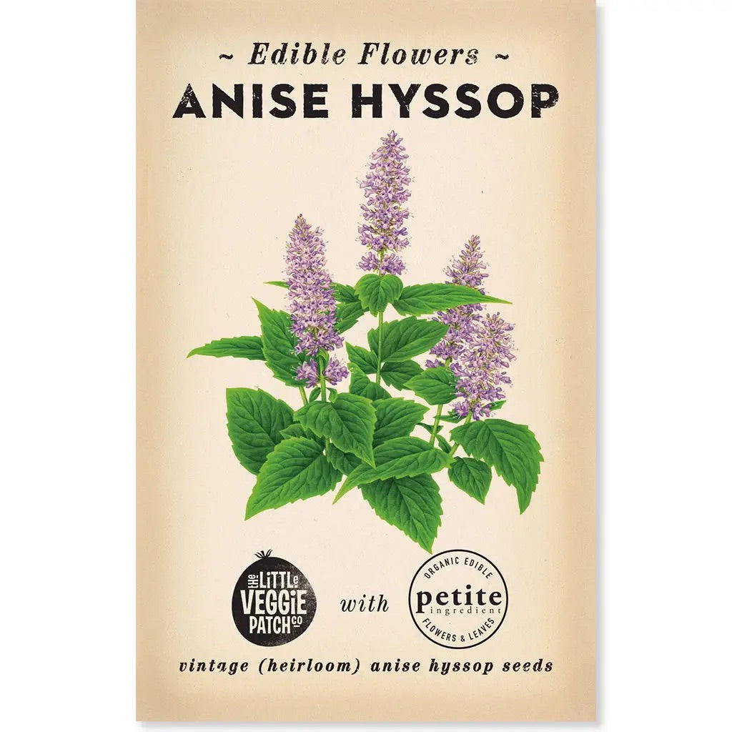 Anise Hyssop Heirloom Seeds