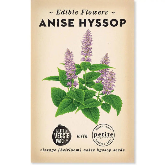 Anise Hyssop Heirloom Seeds