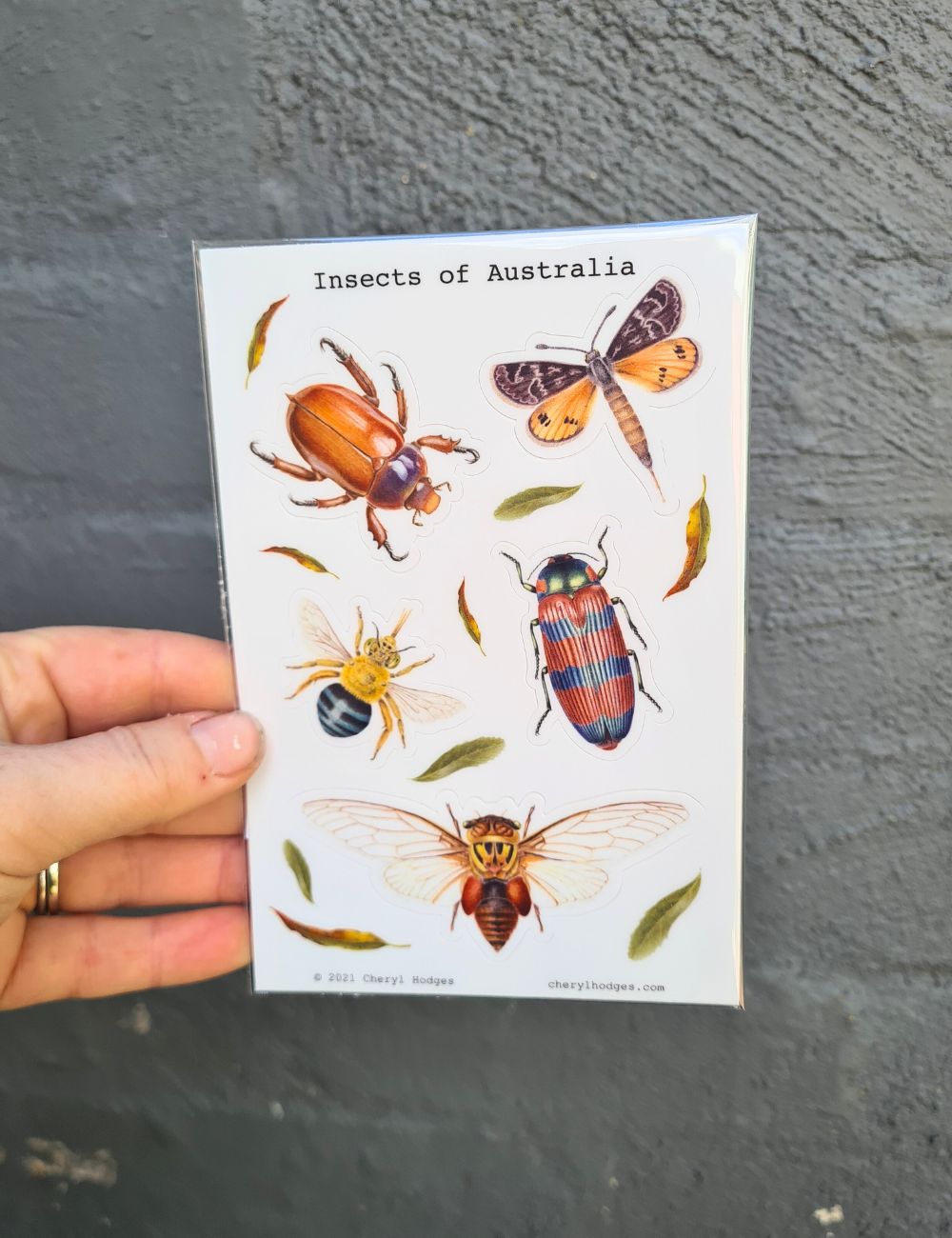 Australian Insects sticker sheet