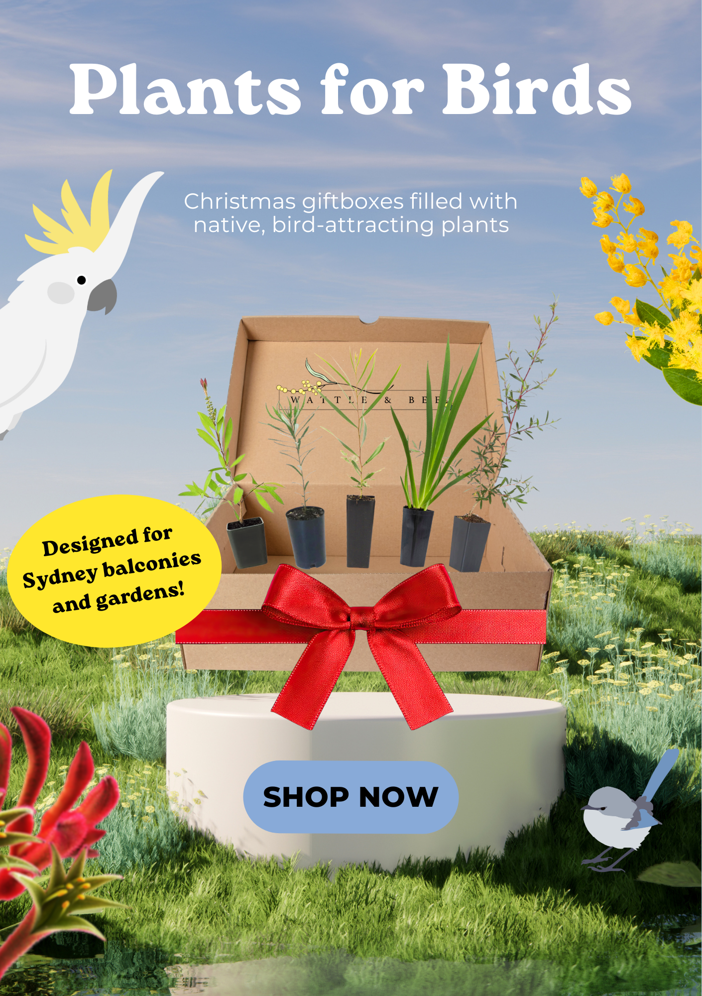 Plant Kits for Birds