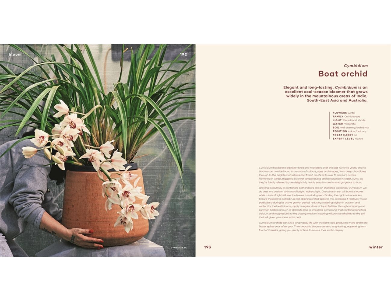 Bloom - Flowering Plants for Indoors and Balconies