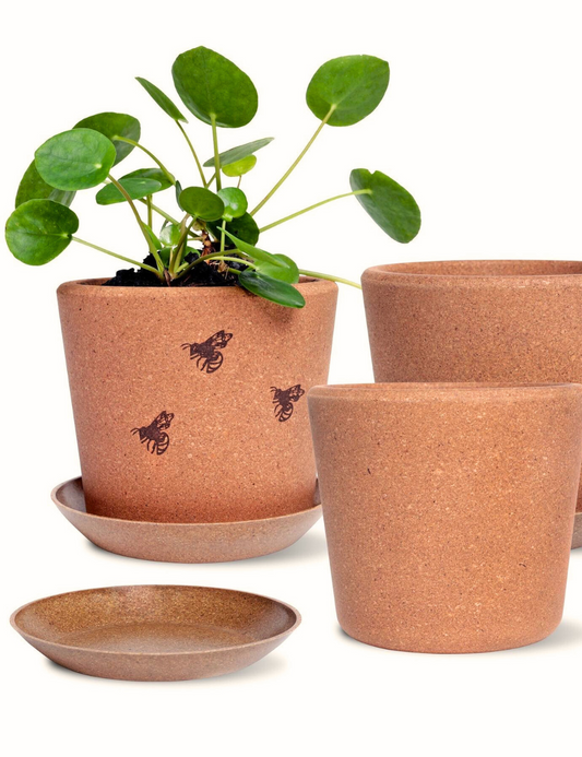 Cork Pot with Saucer (Fine Grain) - 14cm