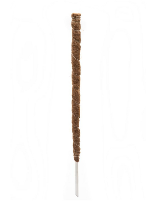 Coco Fibre Grow Stake – Wattle & Bee