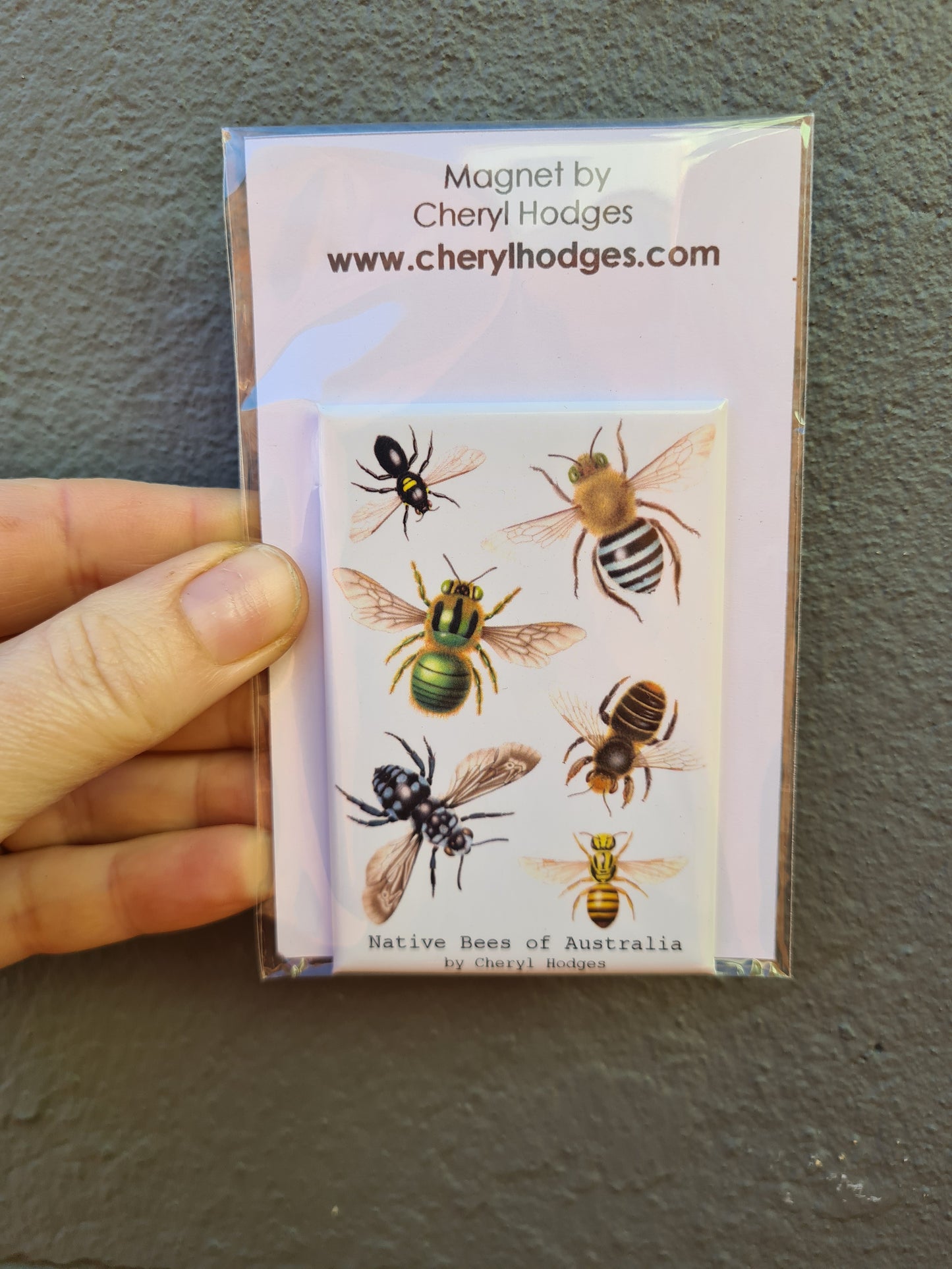 Native Bees Magnet