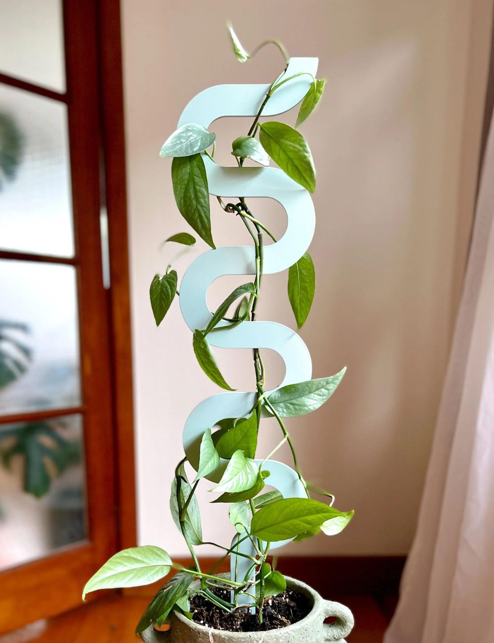 Plant Stake - Boa 3 (70cm)