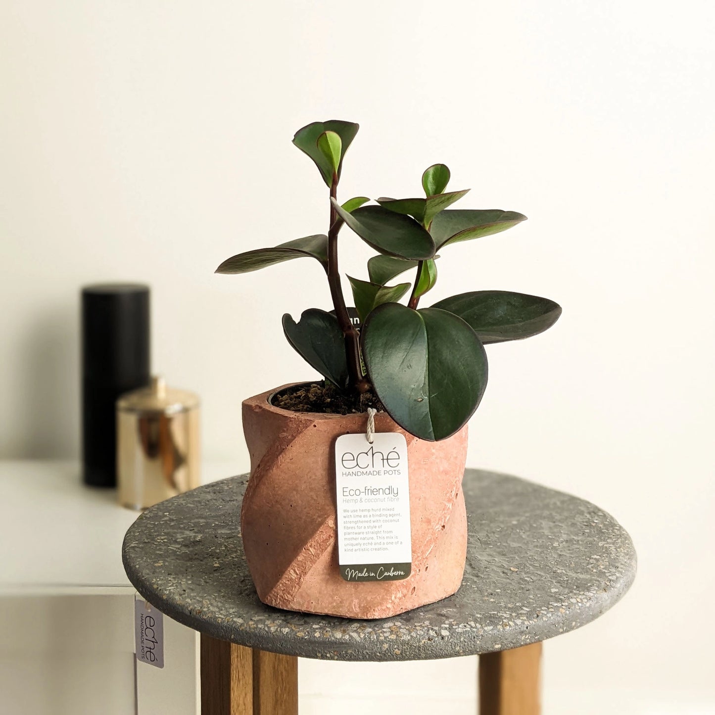 Hemp & Coconut Fibre Swirl Pot