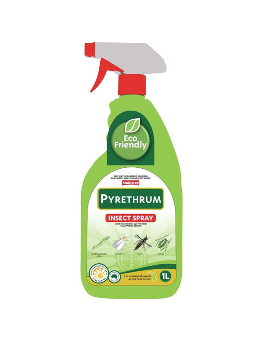 Pyrethrum Insect Spray