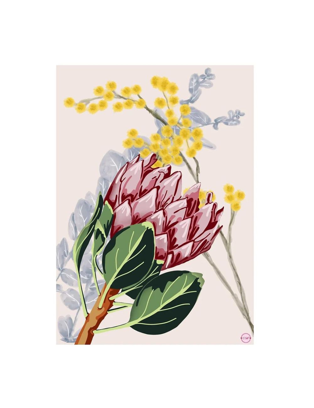 Protea and Wattle – Greeting Card