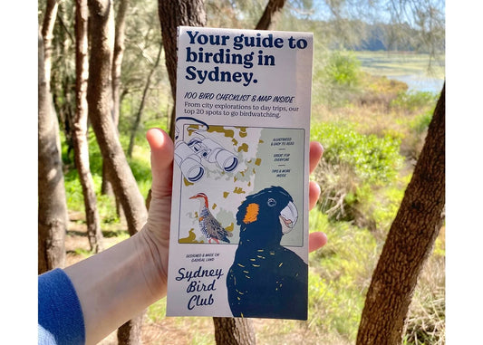 Birding in Sydney guide