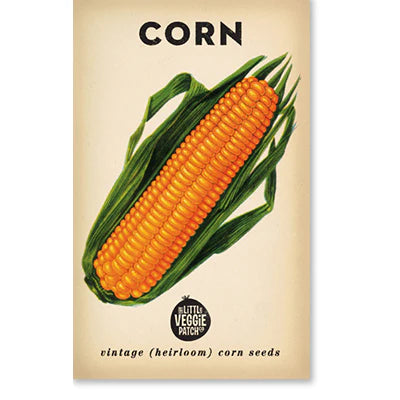 Corn (sweet) seeds