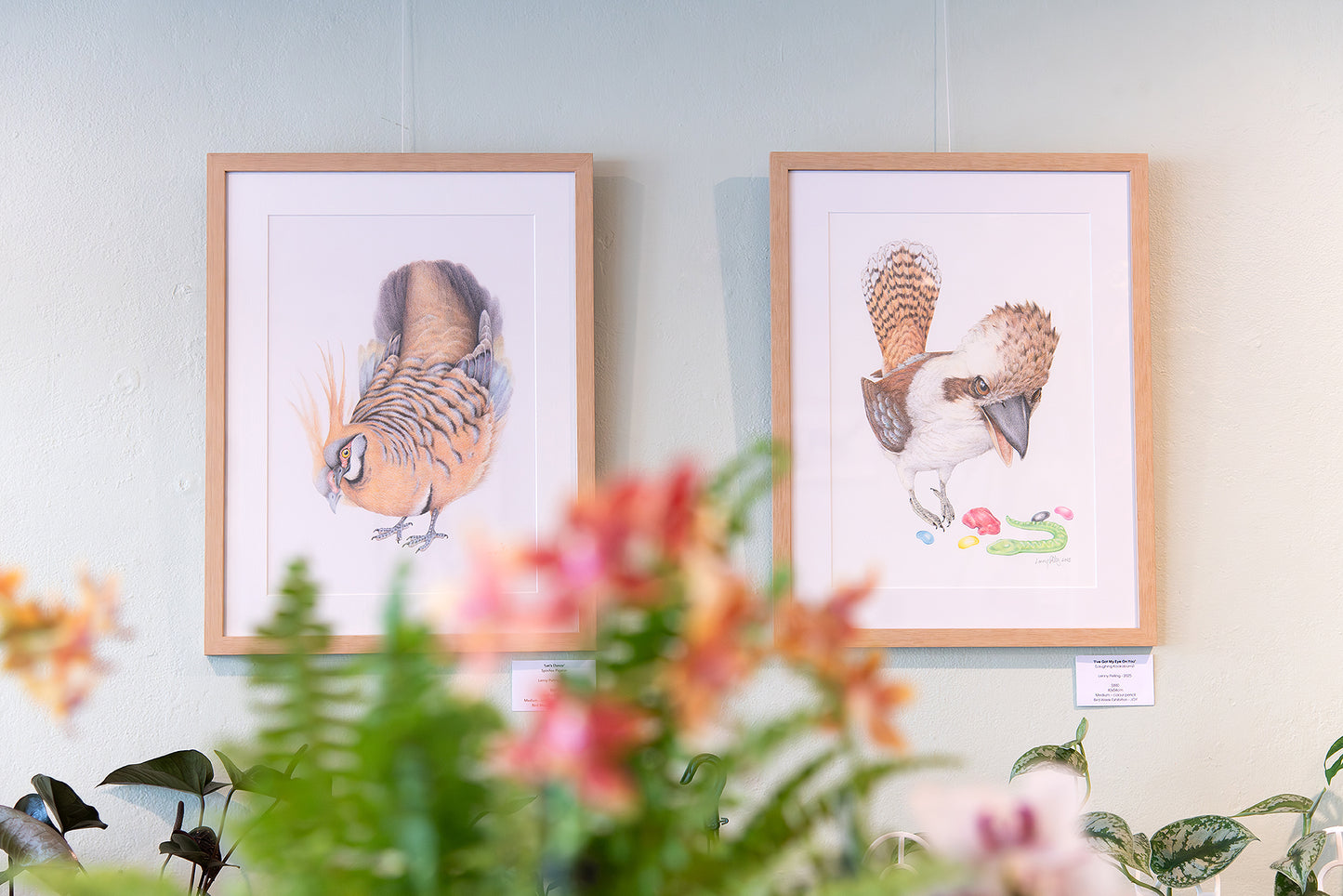 ‘Let’s Dance’ (Spinifex Pigeon) Lenny Pelling