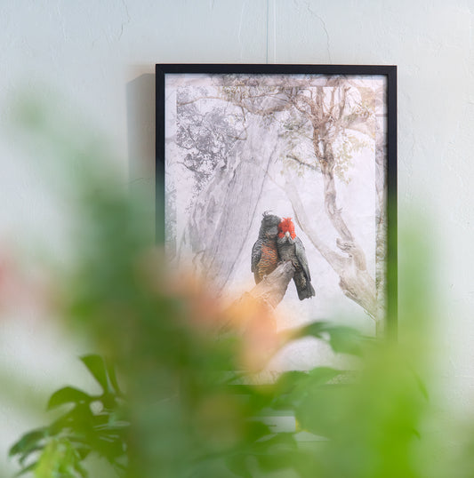 'Gang-Gang Couple' Angela Robertson-Buchanan