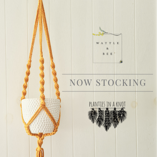 DIY Macrame Plant Hanger Kit