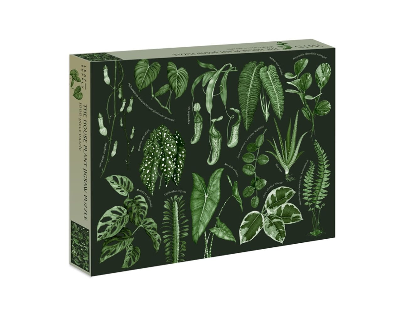 The House Plant Jigsaw Puzzle