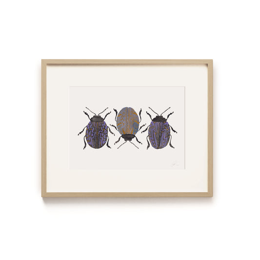 Magical Mystery Trio - Bec Conlon