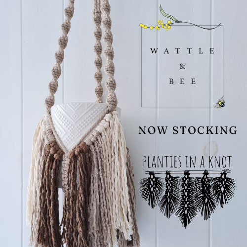 Elizabeth Macrame Plant Hanger